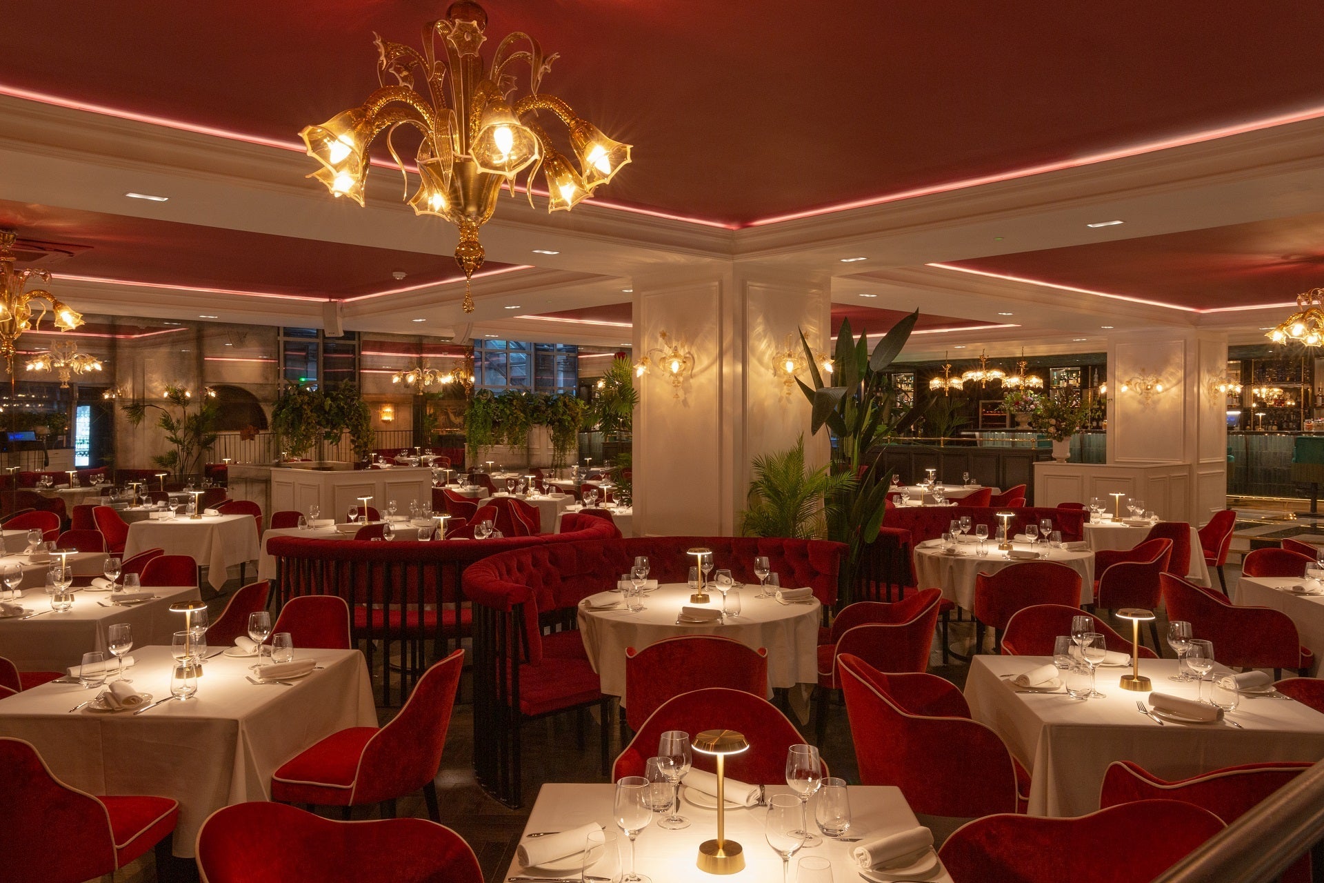 Bardo Restaurant St James, London