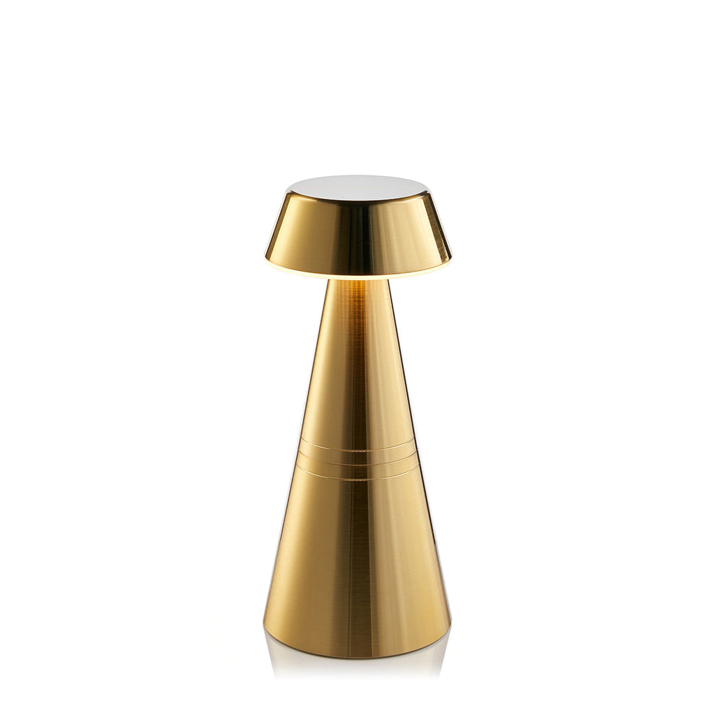 Charm Empire Cordless Table Lamp, Brass Rechargeable Battery Powered Table Lamps Insight Cordless Lighting