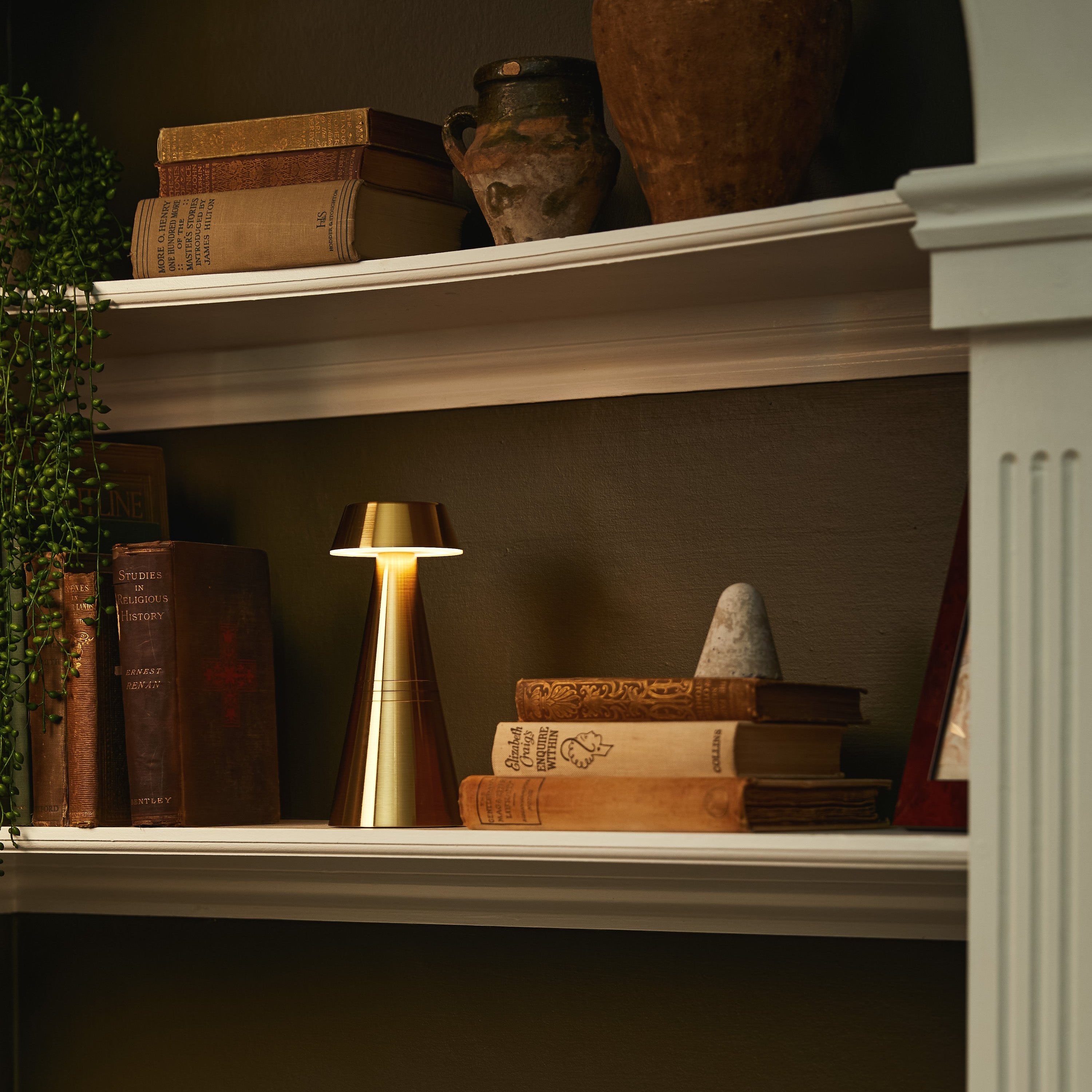 Cordless Table Lamp on a book shelf in a modern home